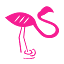 WEB